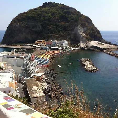 Esperidi Sorrento