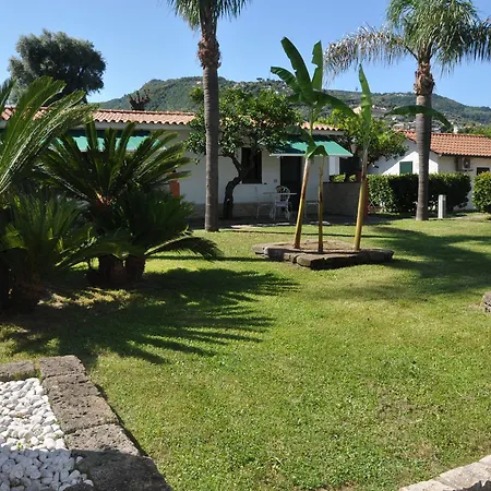 Esperidi 4*