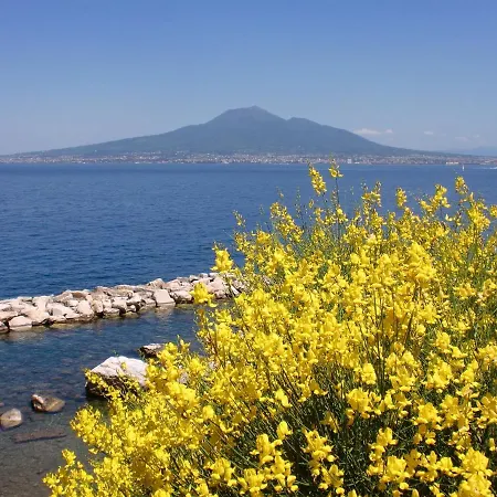 Esperidi Sorrento